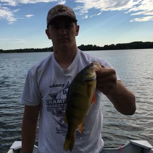 Meet your Posher, Noah